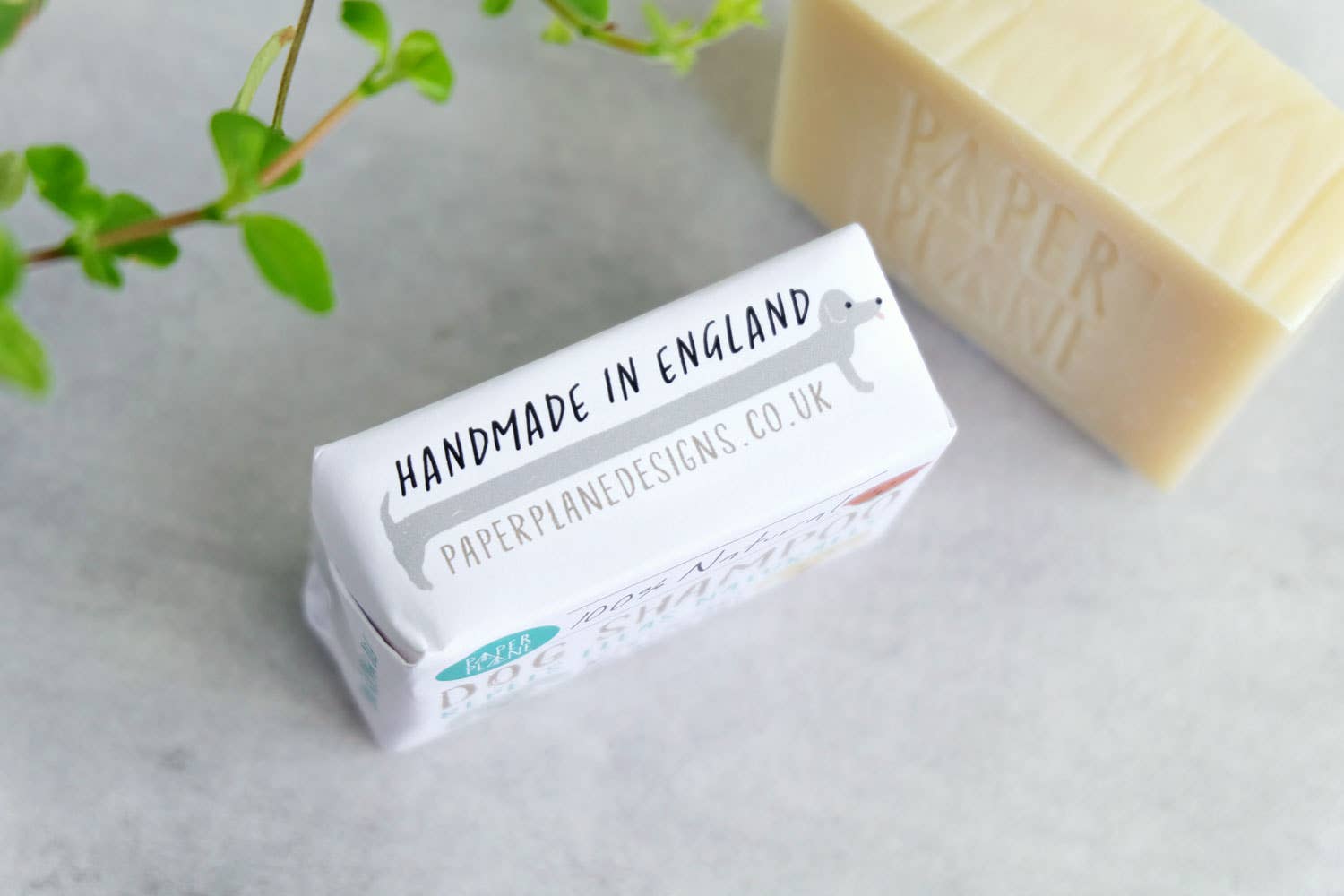 Doggy Pamper Package