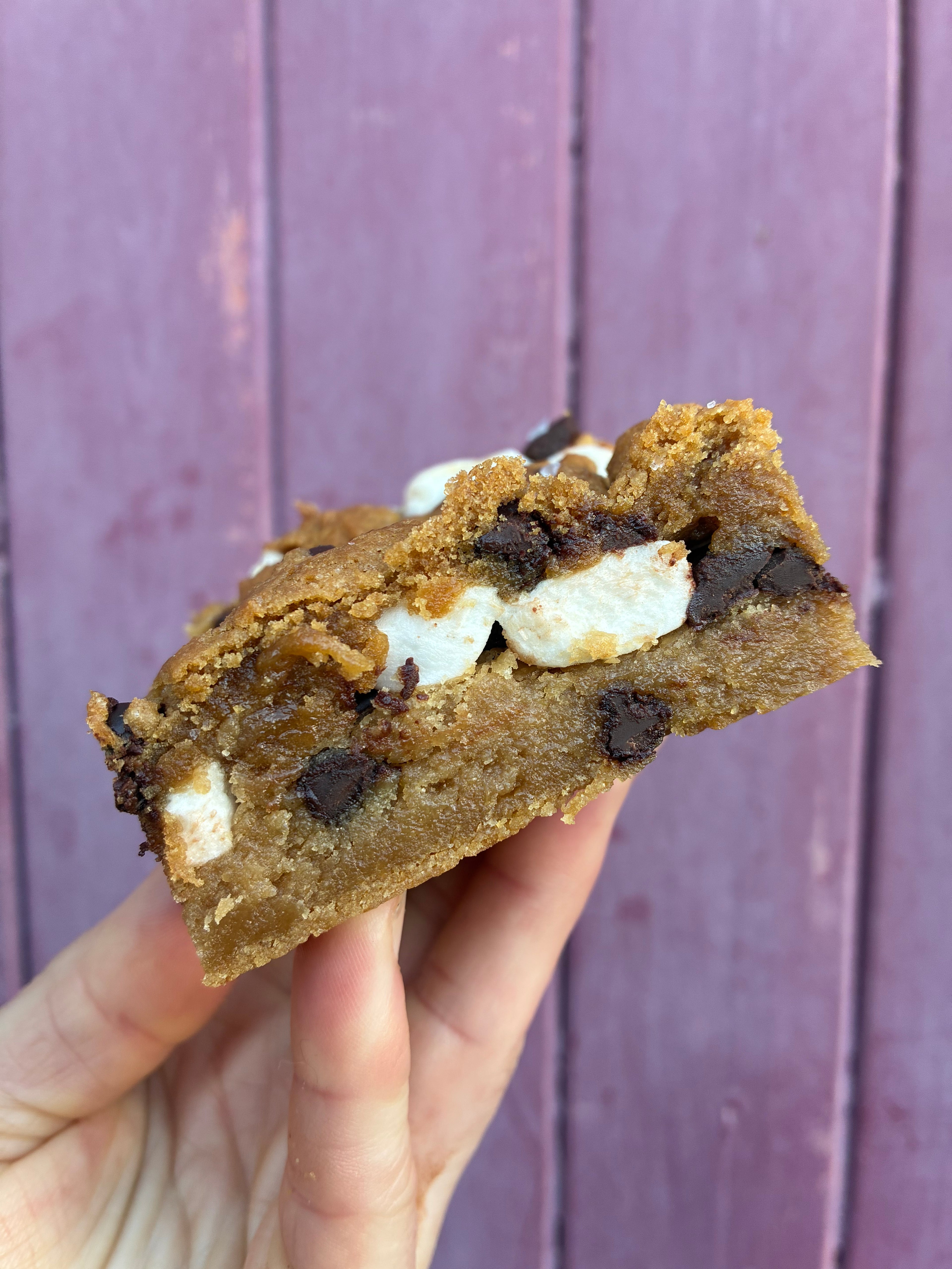 (Gluten free) toasted s’mores bar