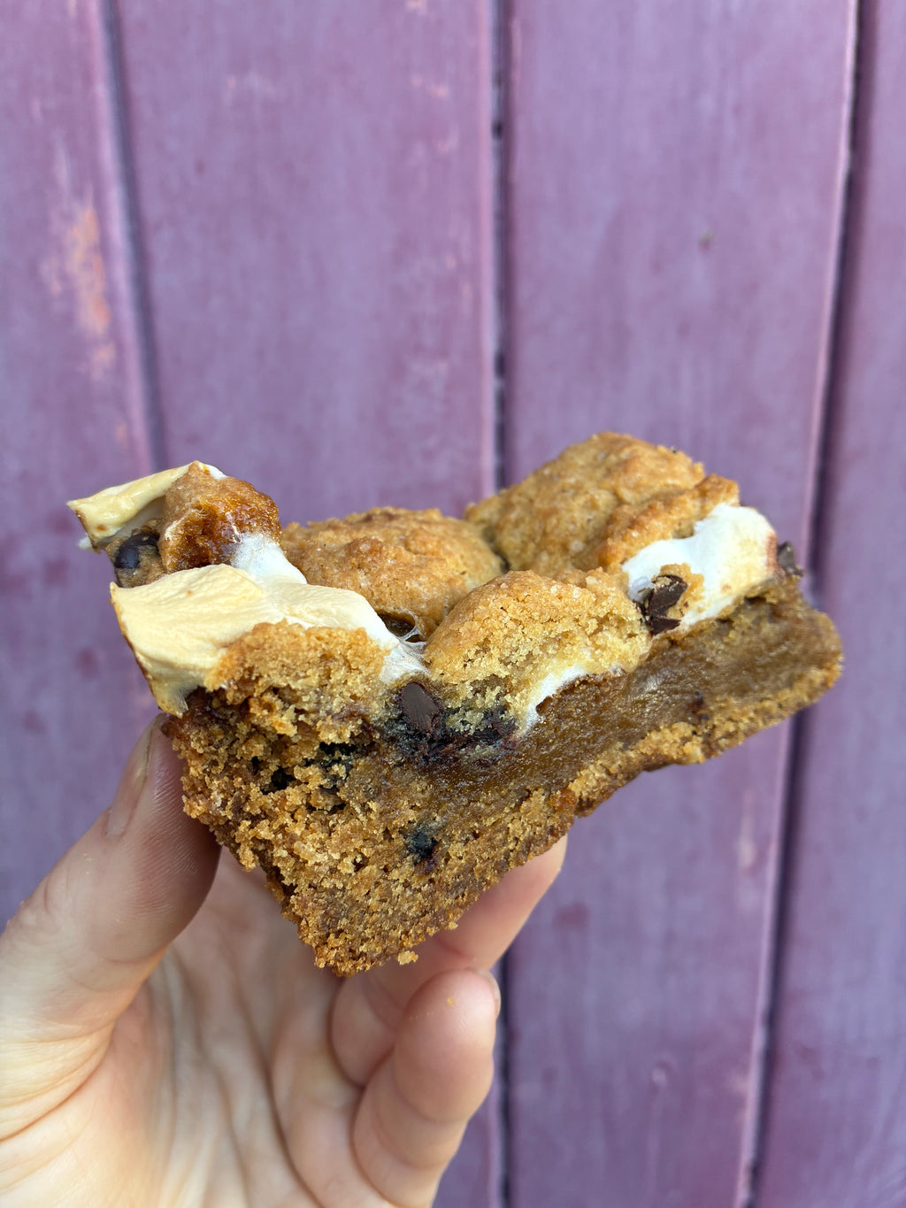 (Gluten free) toasted s’mores bar