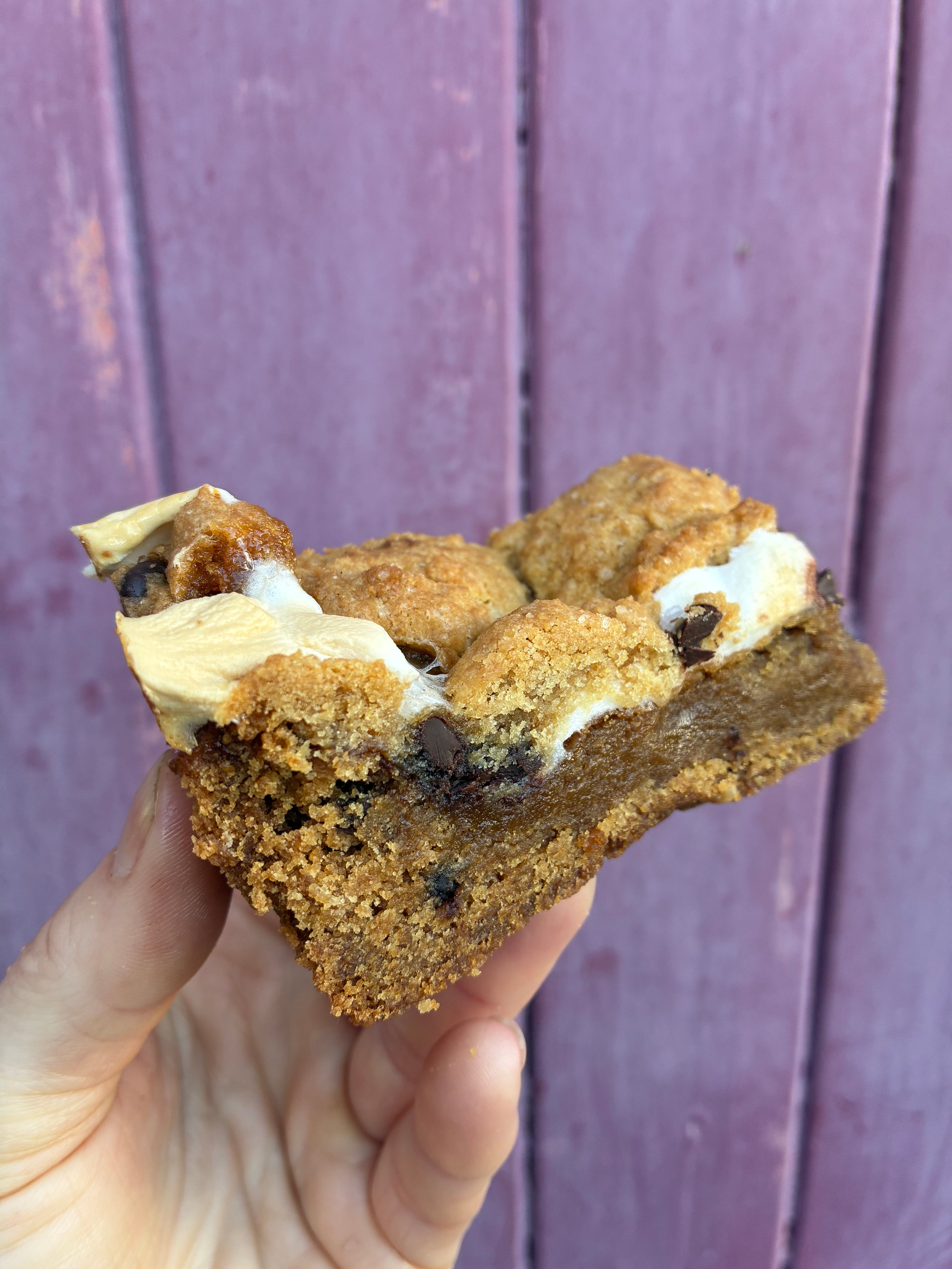 (Gluten free) toasted s’mores bar