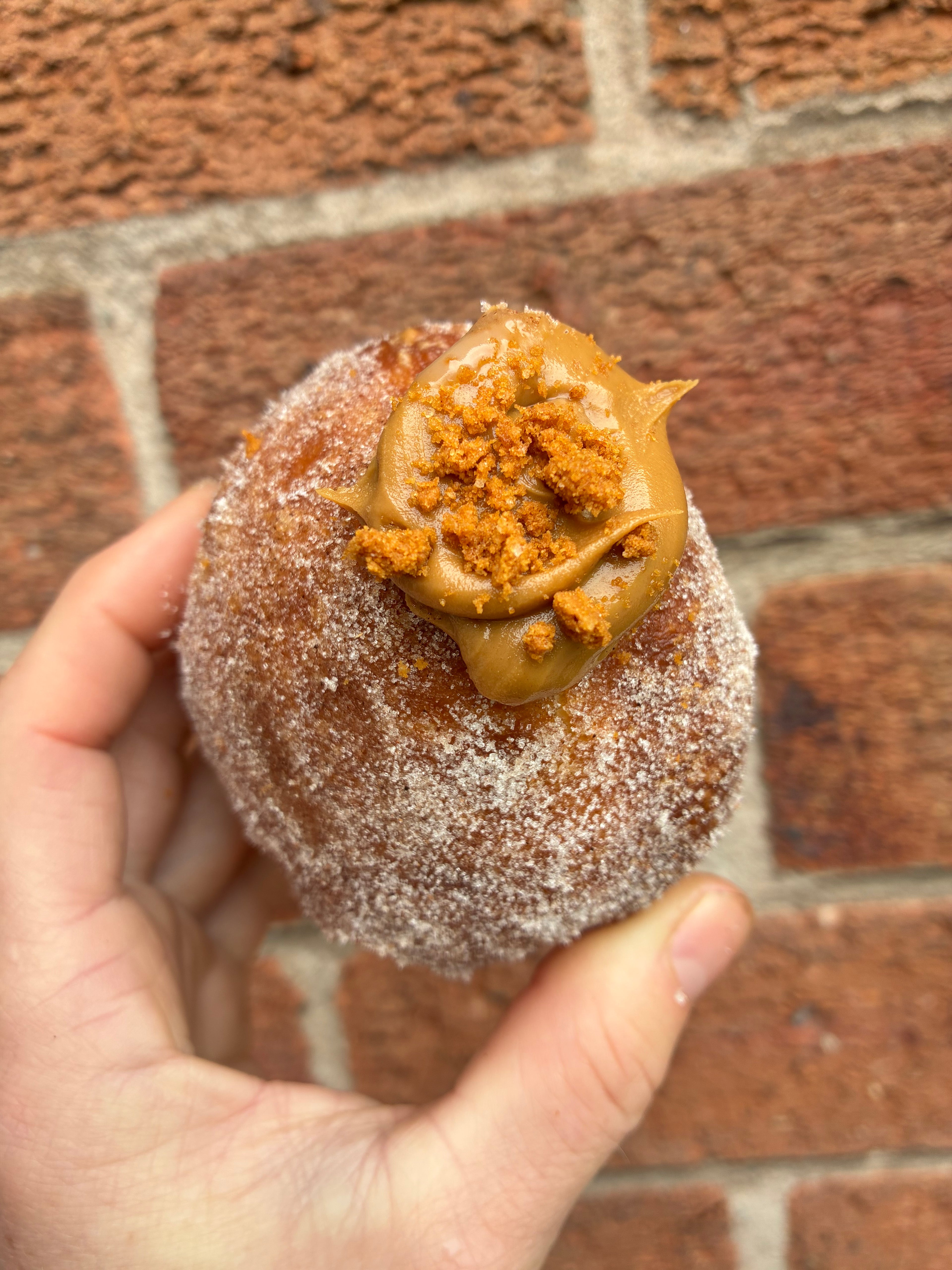 Sourdough Biscoff Bombolini