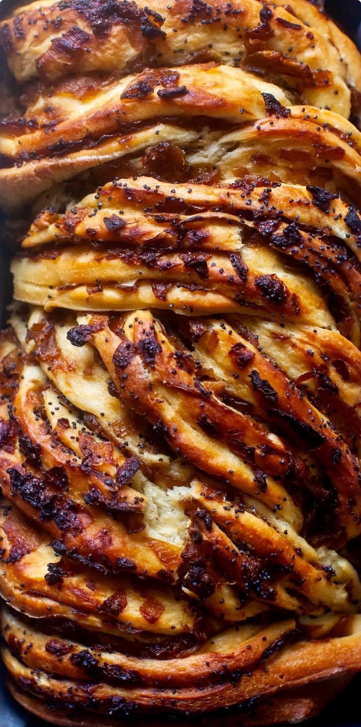 Red onion chutney & cheddar babka
