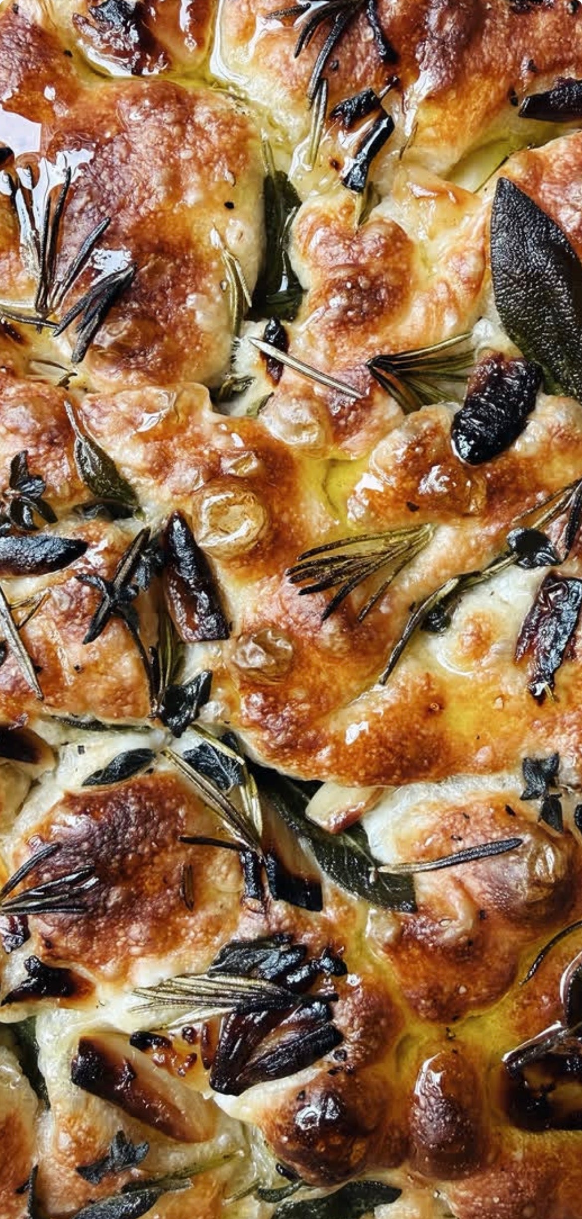 Fig jam, chilli, and feta focaccia