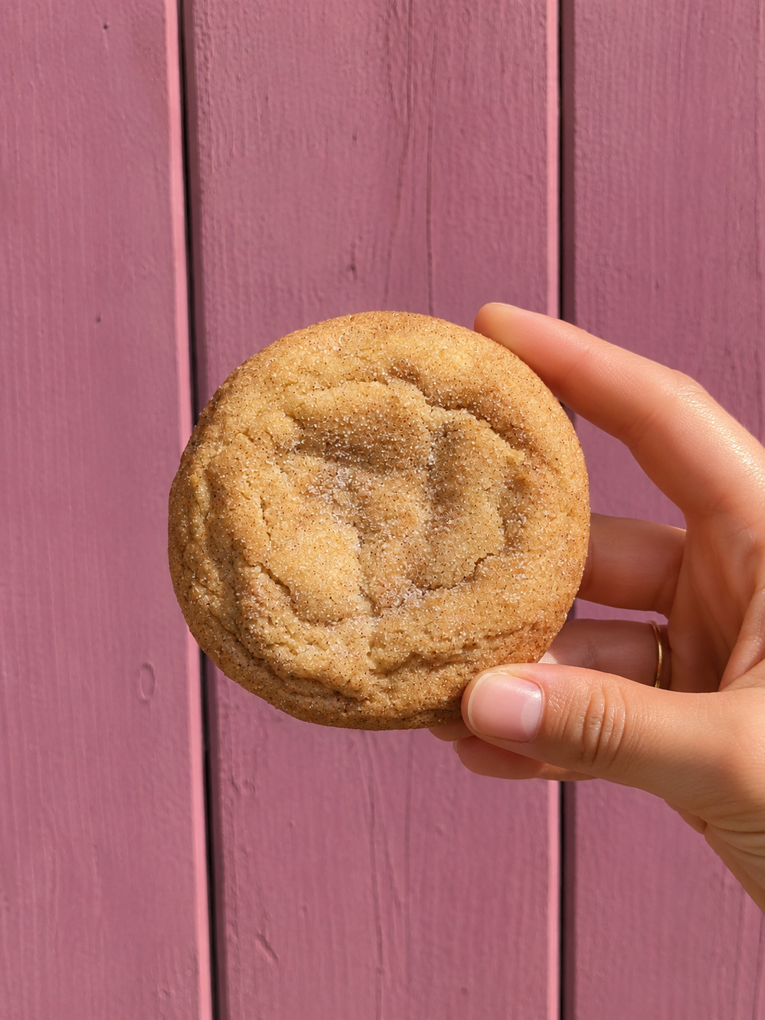 (Gluten free) Snickerdoodle cookies