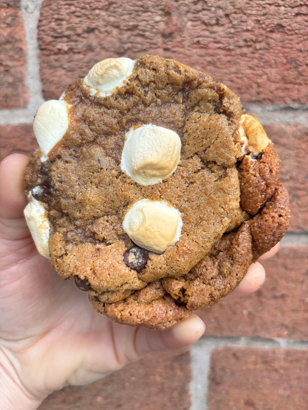 Campfire cookie